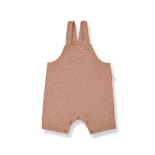 1+ in the family Rocco Overalls - Apricot