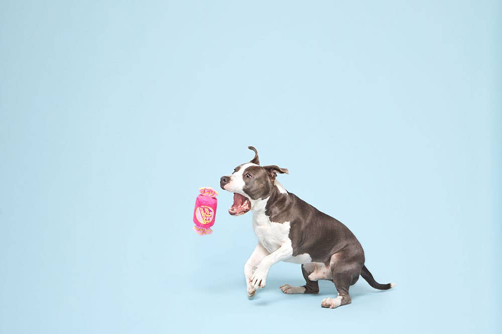 BARK Bubble Gum