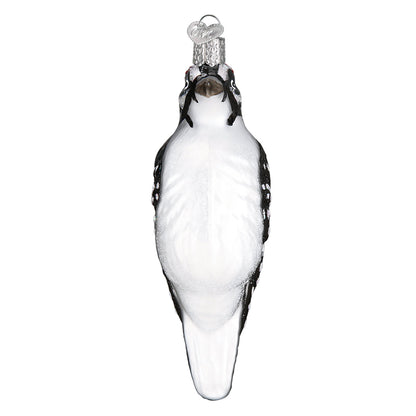 Hanging Hairy Woodpecker