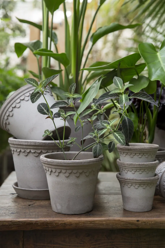 18 cm, Grey, Pot and Saucer