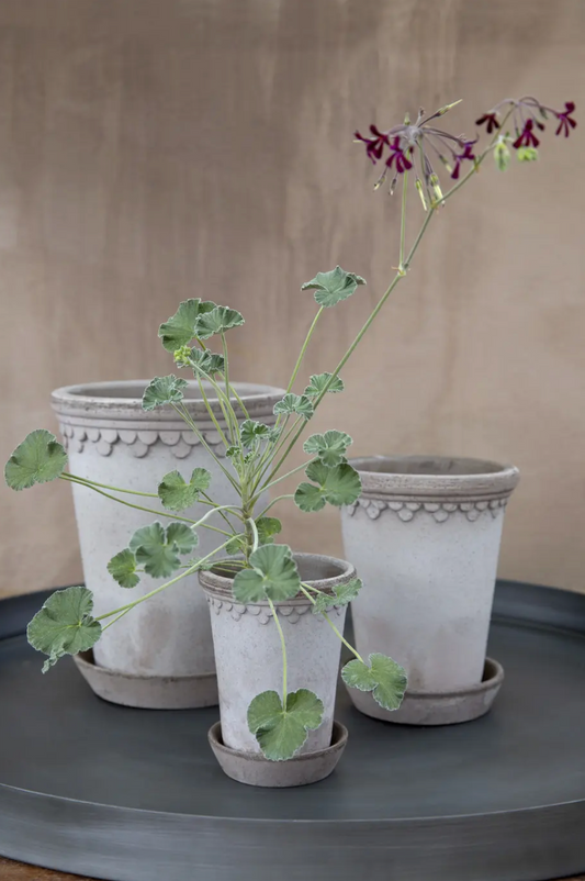 18 cm, Grey, Pot and Saucer (Tall)