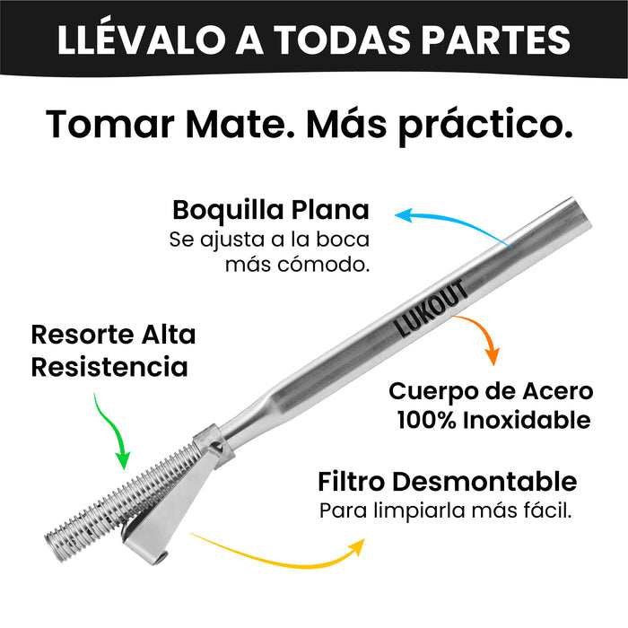 Bombilla Mate Spring