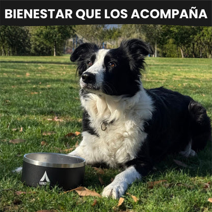 Bowl Mascotas 950 ml