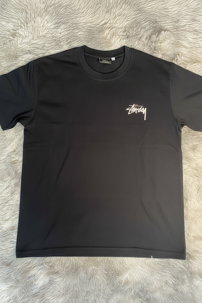 Camiseta Stussy delantera