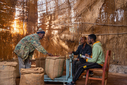 Image of workers at Bensa, Shantawene, Sidama