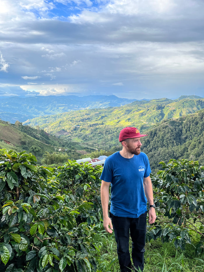 Person standing among coffee plants with a scenic mountain view in the background in Huila, Colombia.