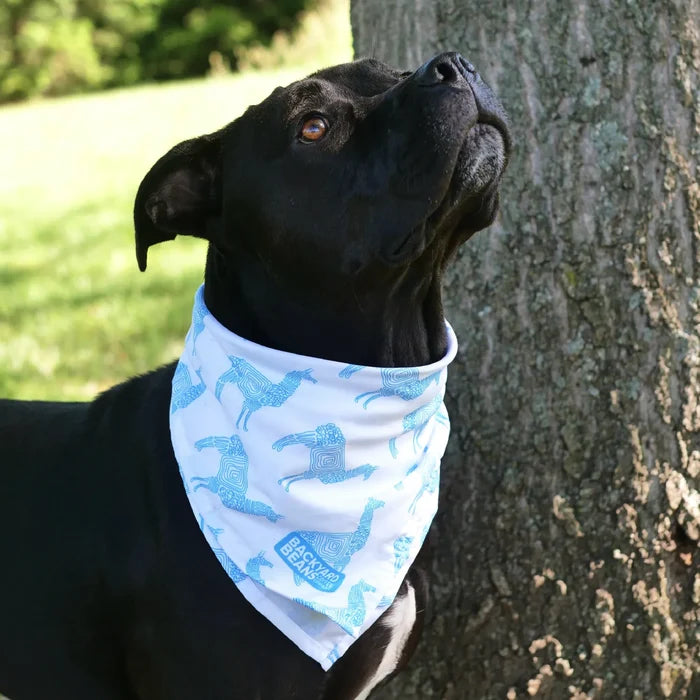 Black dog wearing a blue and white bandana with llama pattern, standing next to a tree.