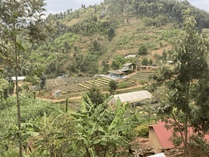 Image of the Kanzu washing station