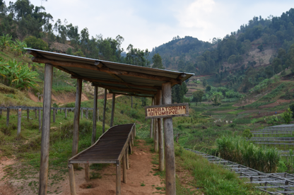 Image of the Kanzu washing station raised drying beds