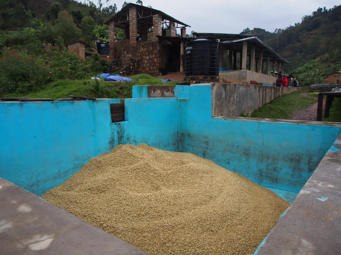 Image of the Kanzu washing station