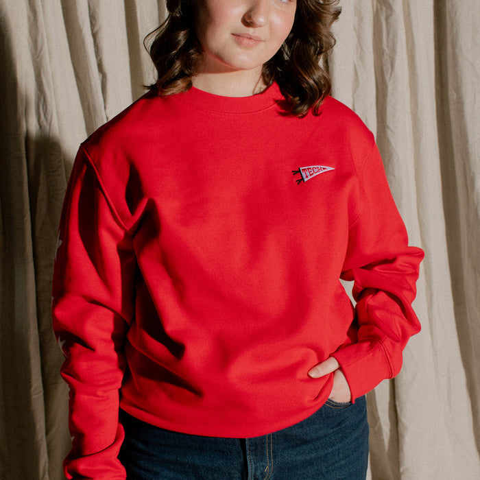 Texas Tech™ Pennant Crewneck